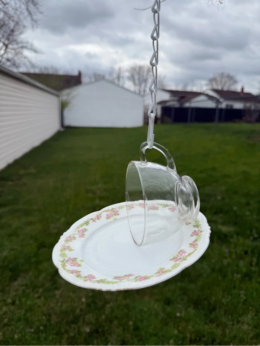 N/A hanging bird